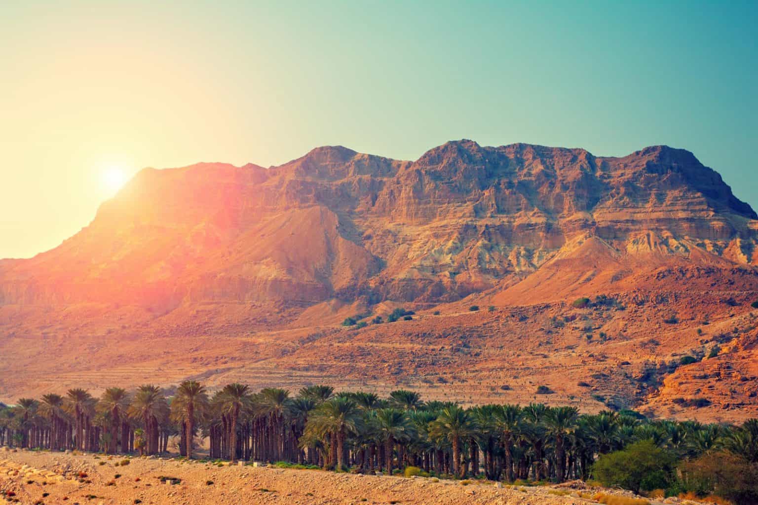 A desert landscape with palm trees and mountains in the background, showcasing the historical beauty of Israel's tourism sites.