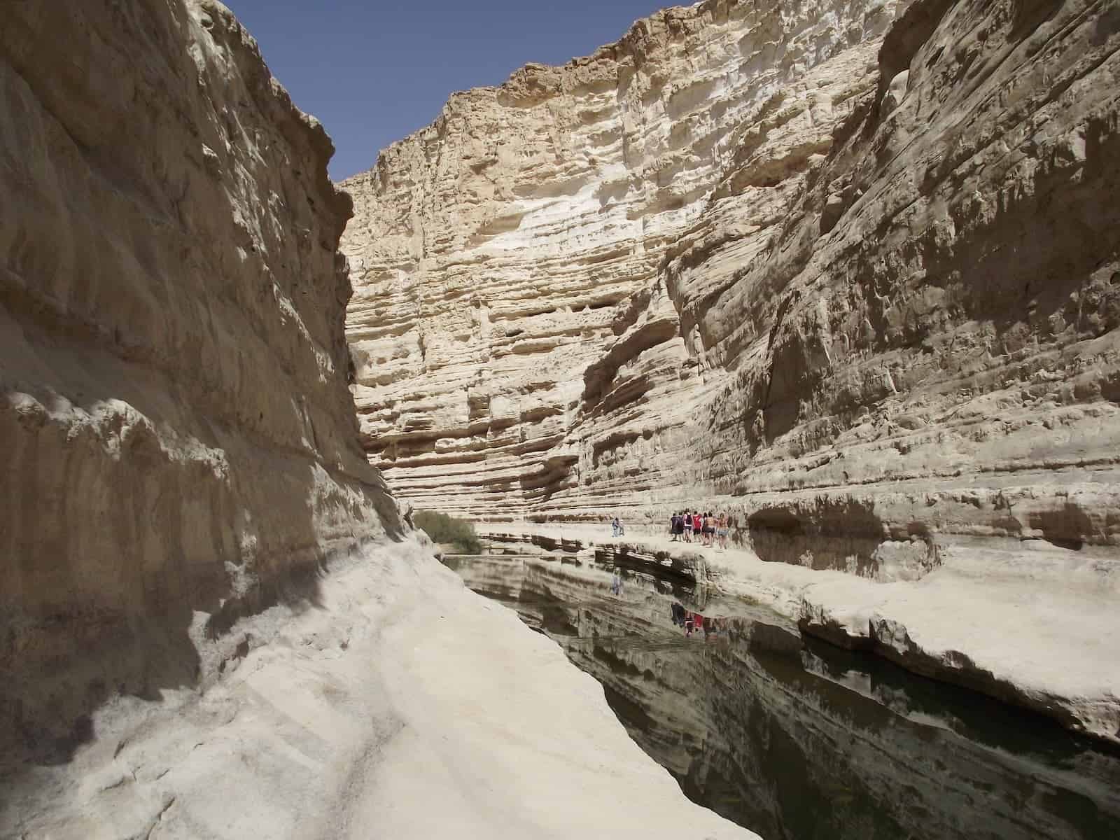 A narrow canyon with a river running through it.